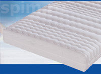 ������ Schlaraffia Isotherm