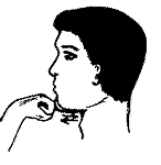 exers2.gif