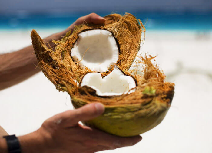 Кокосовая койра в матрасах. Свойства кокоса, кокосовое волокно, кокосовый наполнитель в матрасах