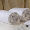 �e������ ������ On silk Comfort ������