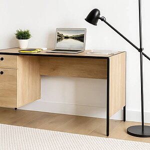 Ель карпатская