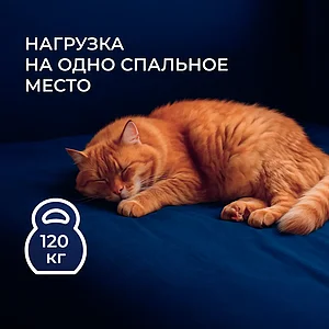 Матрас Dreamline Classic + 20 Hard TFK