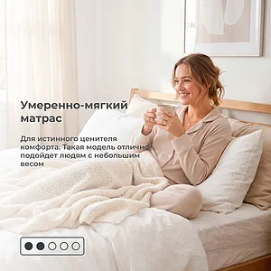 Матрас Mr.Mattress Brain