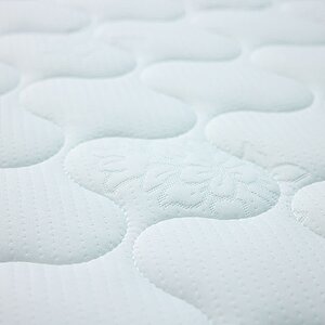  Sleeptek Premier Foam Cocos