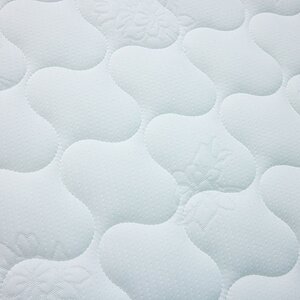  Sleeptek Premier Foam Cocos
