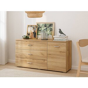 Дуб золотистый