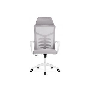 Серый/Белый Компьютерное кресло Montana light gray / white