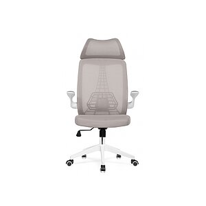 Серый/Белый Компьютерное кресло Lokus light gray