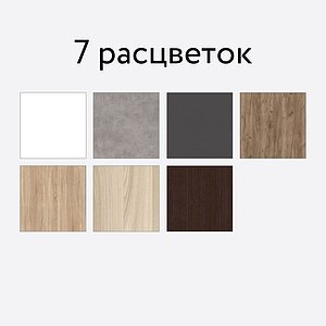 Шкаф-купе Е1 Экспенс, 210х45х220