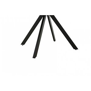 Ароза реликтовая Стол Аврора Париж 120