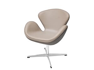   Bradexhome Swan Chair  ()
