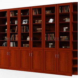 Библиотека Гала 6.6У для книг