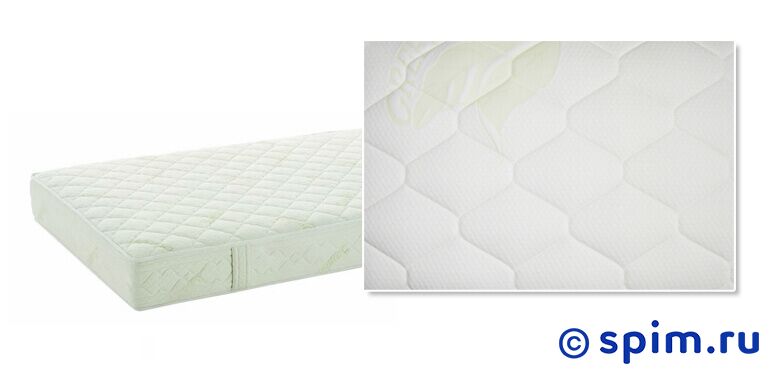Матрас Magniflex Green Tea 200x200 Матрас Magniflex Green Tea 200x200Матрасы Magniflex<br>Жесткий матрас из пены на основе натурального латекса Eliocel-60. Чехол: шерсть мериноса/хлопок с экстрактом зеленого чая. Нагрузка: до 160 кг. Высота: 16 см. *Поставляется в вакуумной упаковке. Размер Магнифлекс Грин Ти 2-спальный: 200 x 200 см<br><br>Ширина см: 200<br>Длина см: 200