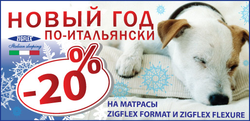 ������ 20% �� ������� Format � Flexure ������� Zigflex