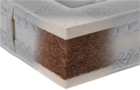 ������ Toris NEST 