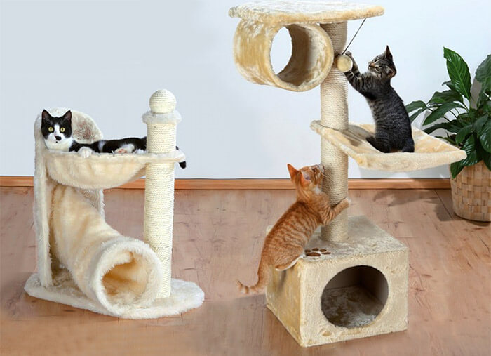 ������� ��������� ��� �����