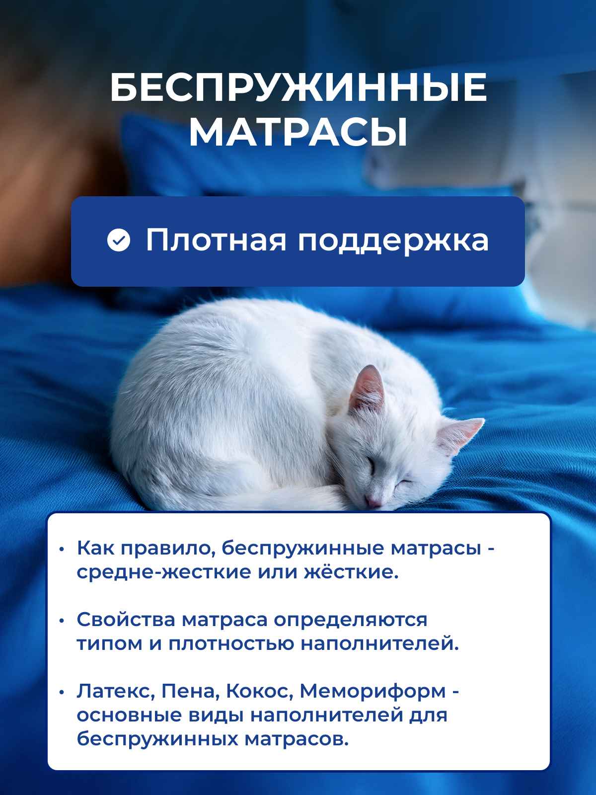 ������������ ������� � � ��� �������?