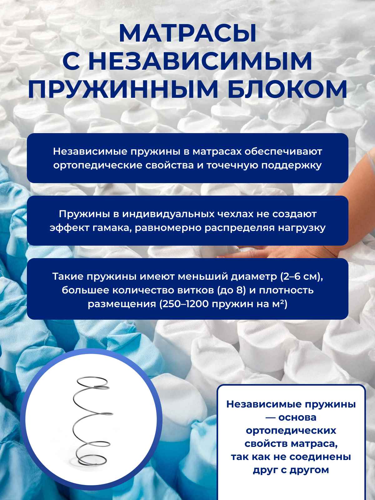 ������� � ������������ ���������