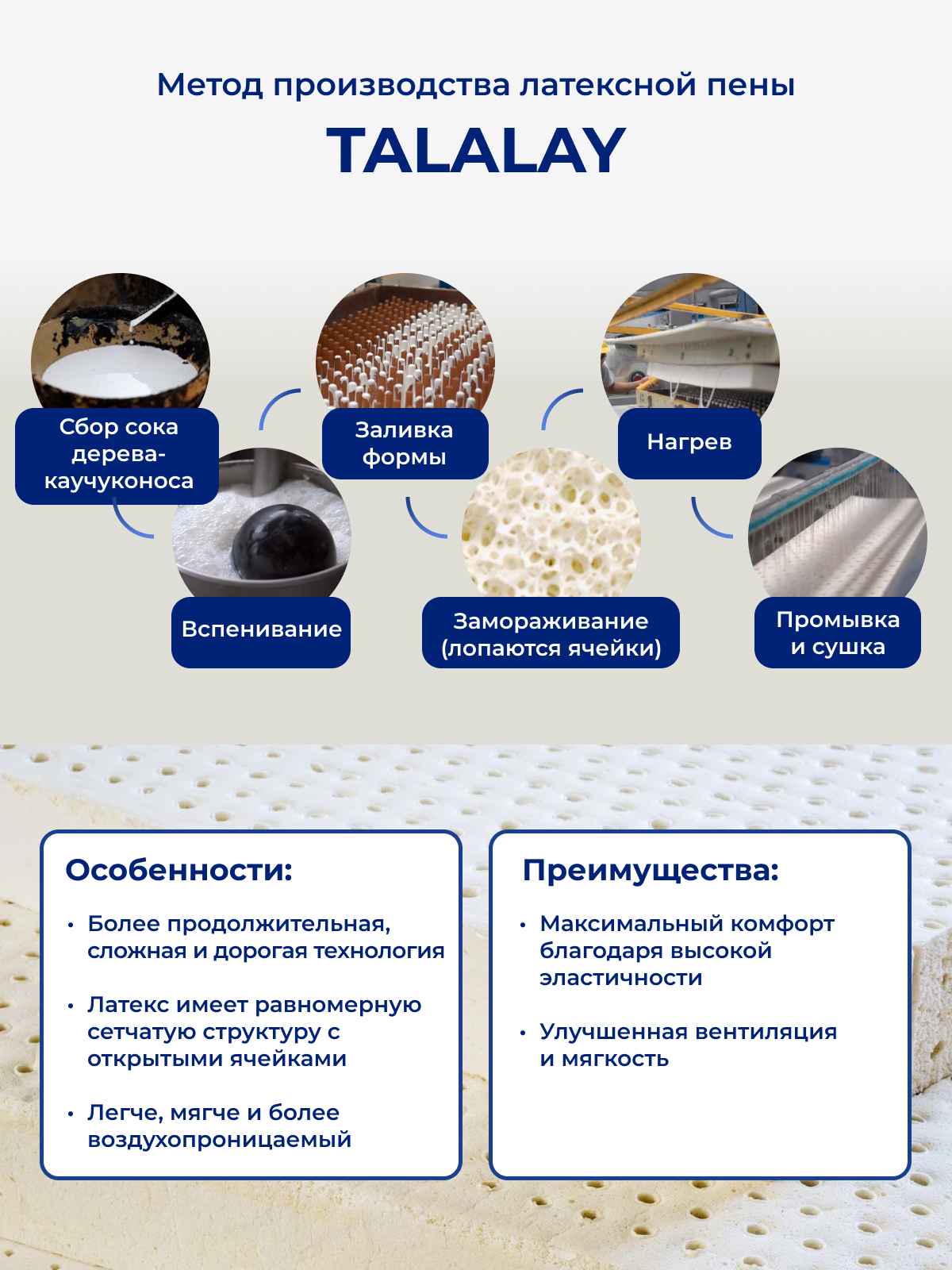 ������ Talalay � ����������, ����������� � ������������