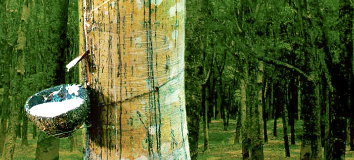 ����������� ������ ���������