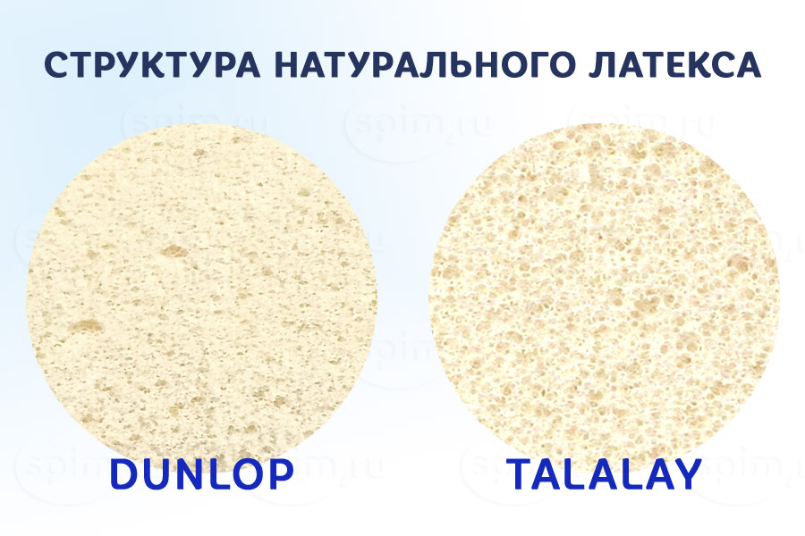 ��������� ������� ������ � ������� � ���������