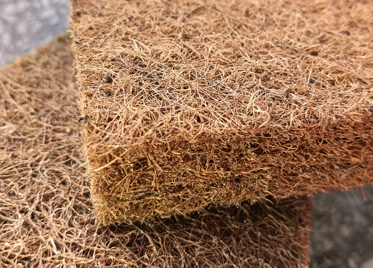 ��������� ����������� - ����