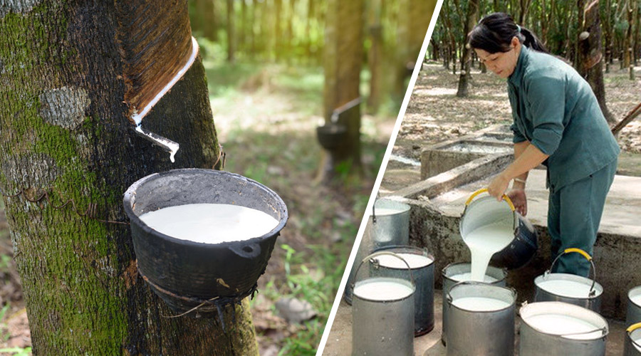 Кең жамбаспен араның белінің порно фотосы