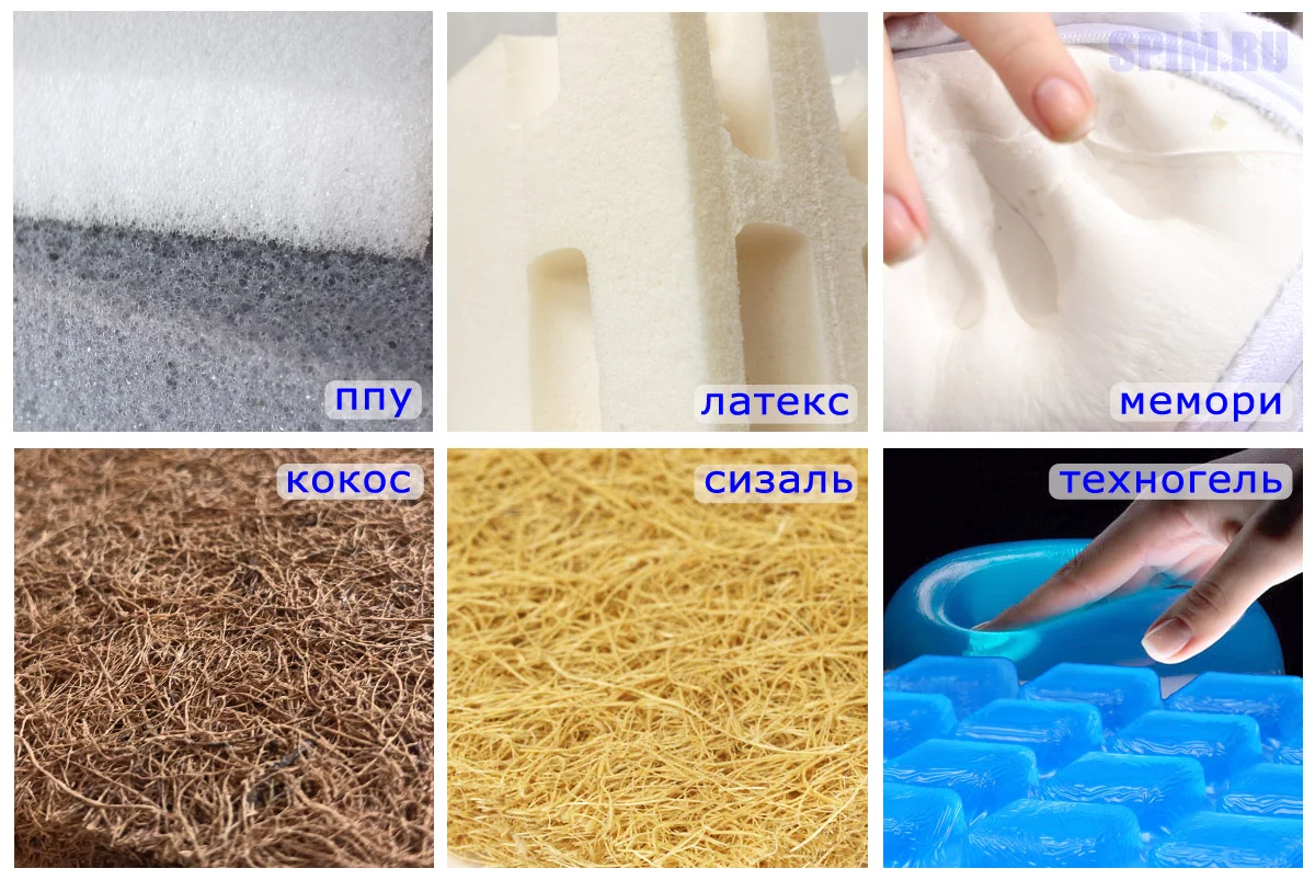 �� ���� ������ ������: ���, ������, ������, �����, ������, ���������