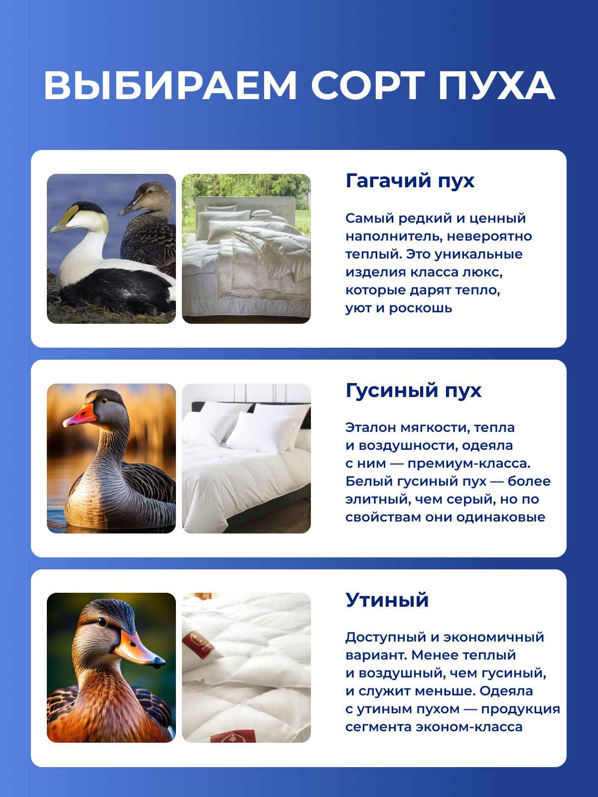 ���� ���� � ����� ��� �����? ������, ������� � ������� ��� � ������