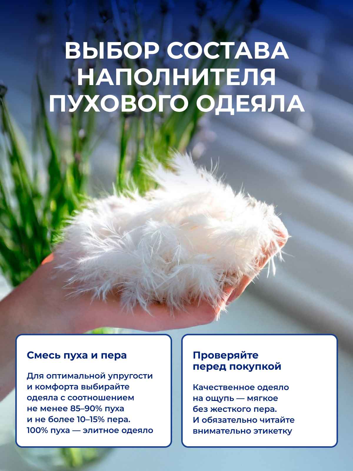 ��� ������� ������ �� ����?