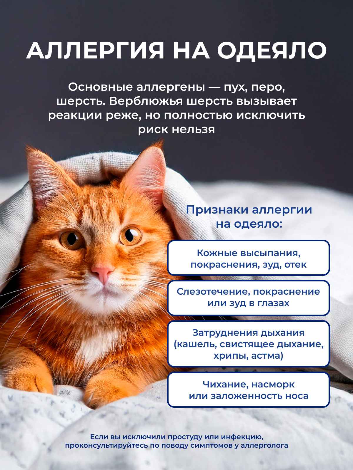 �������� �� ������ � ��������