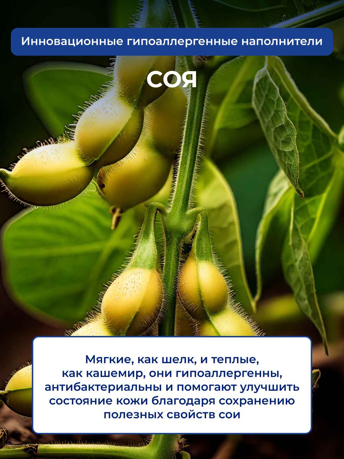 ����������� ��� ������ � ���