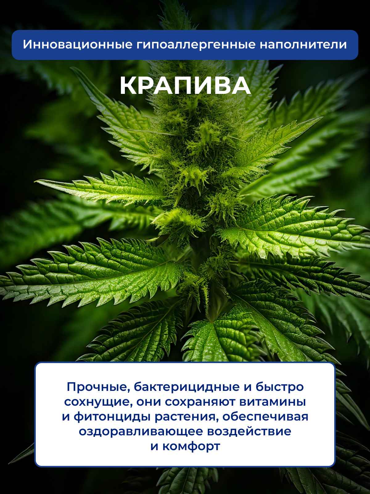 ����������� ��� ������ � �������