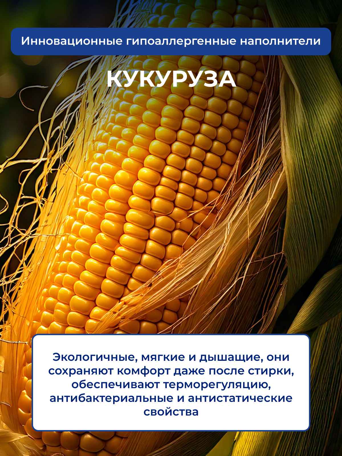 ����������� ��� ������ � ��������