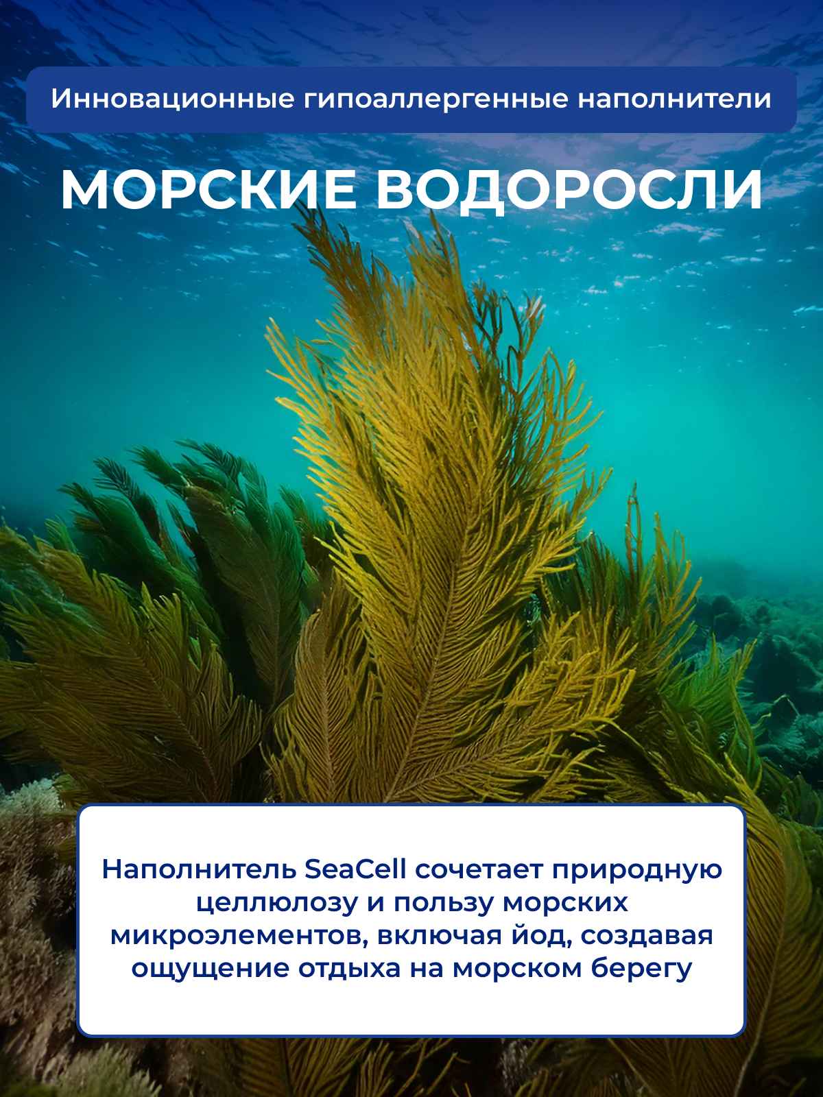 ����������� ��� ������ � ���������