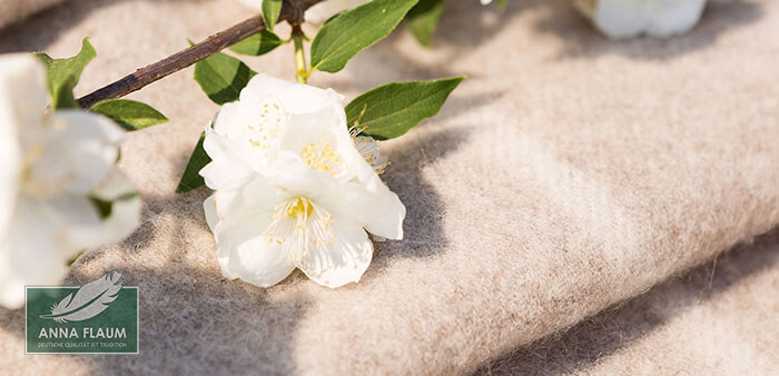 ��������� ���� ���� �����