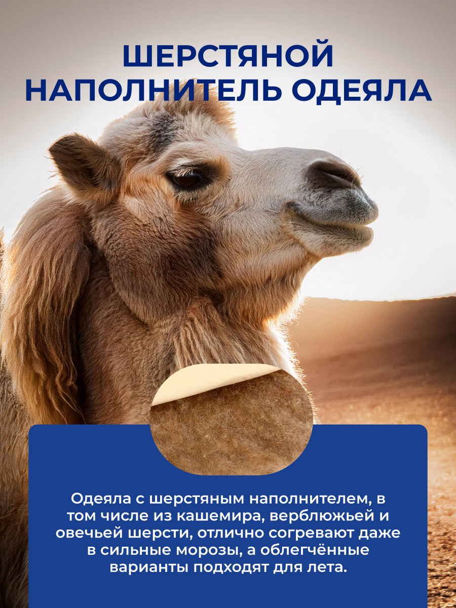 ��������� ����������� ������