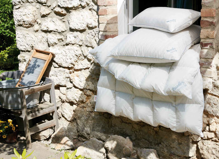 �������� ������ � ������� Paradies