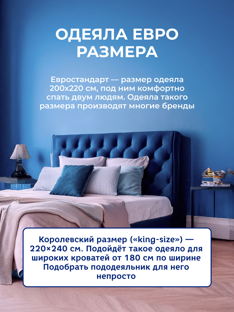 ���� ������ ������