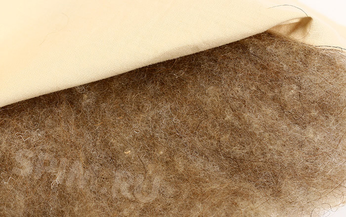 ��������� ������ (������ ��������� ��� ������� Natures)