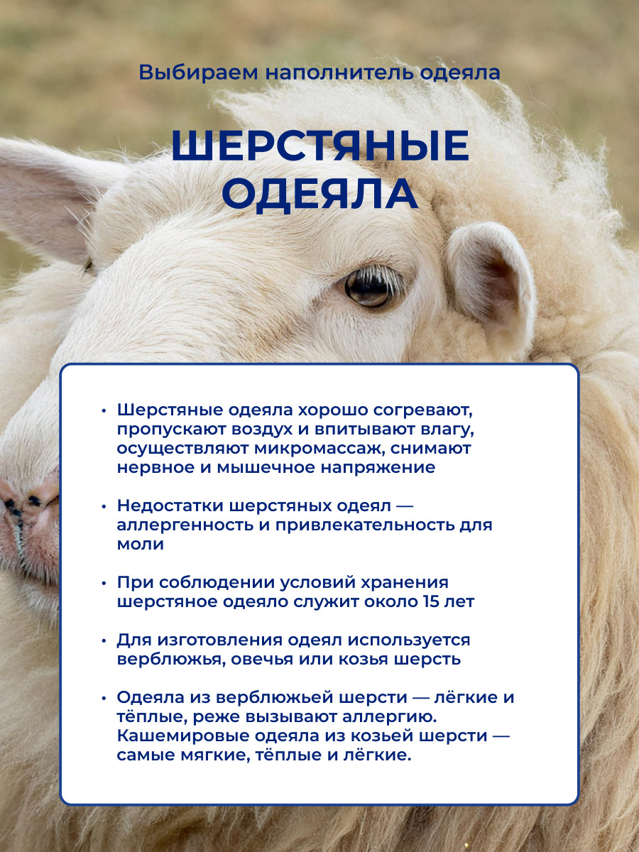 ��������� ������ � ��� �������?