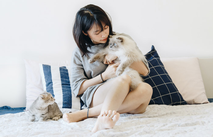 ��� ������������ ������ �������� ���?