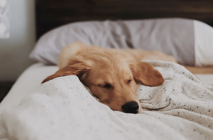 9 ������� ��� �������� ���� �������