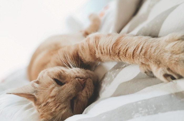 ����� ������� � �� ��� �������� ������� ���?