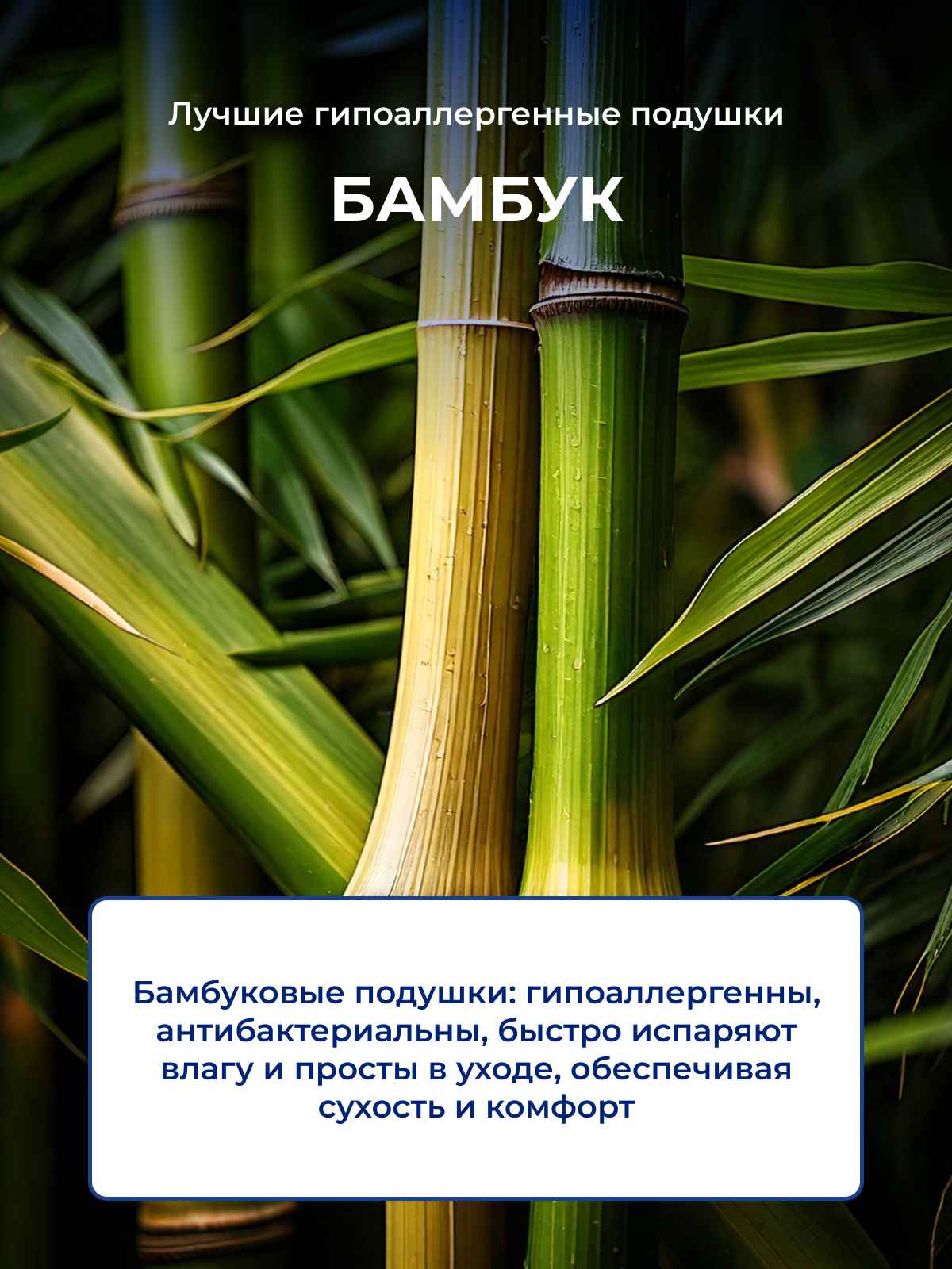 ������ ��������������� ������� � ������