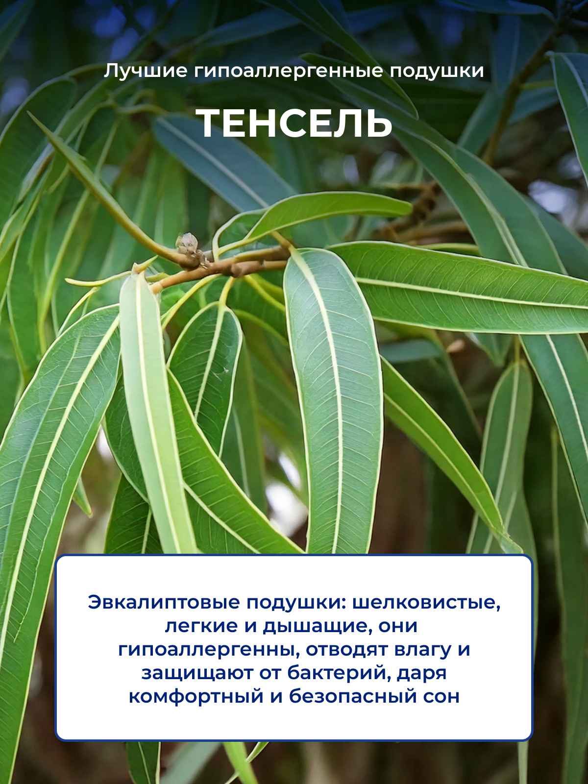 ������ ��������������� ������� � �������