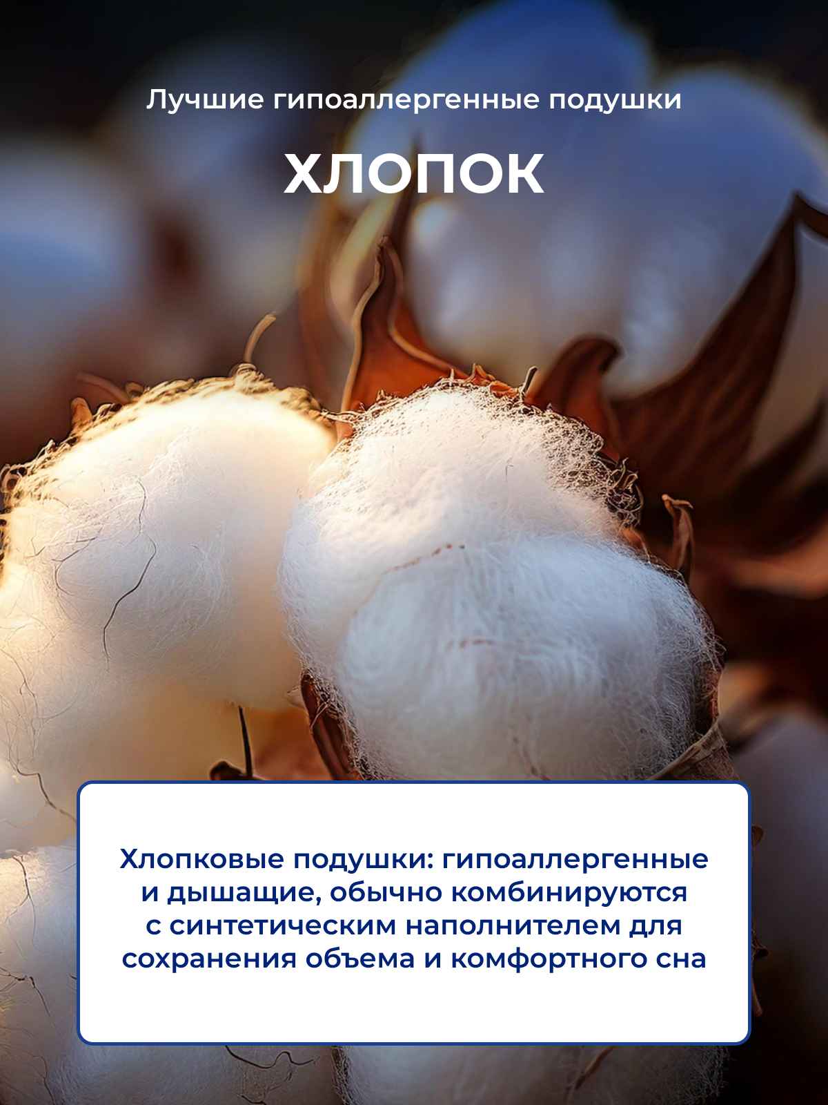 ������ ��������������� ������� � ������