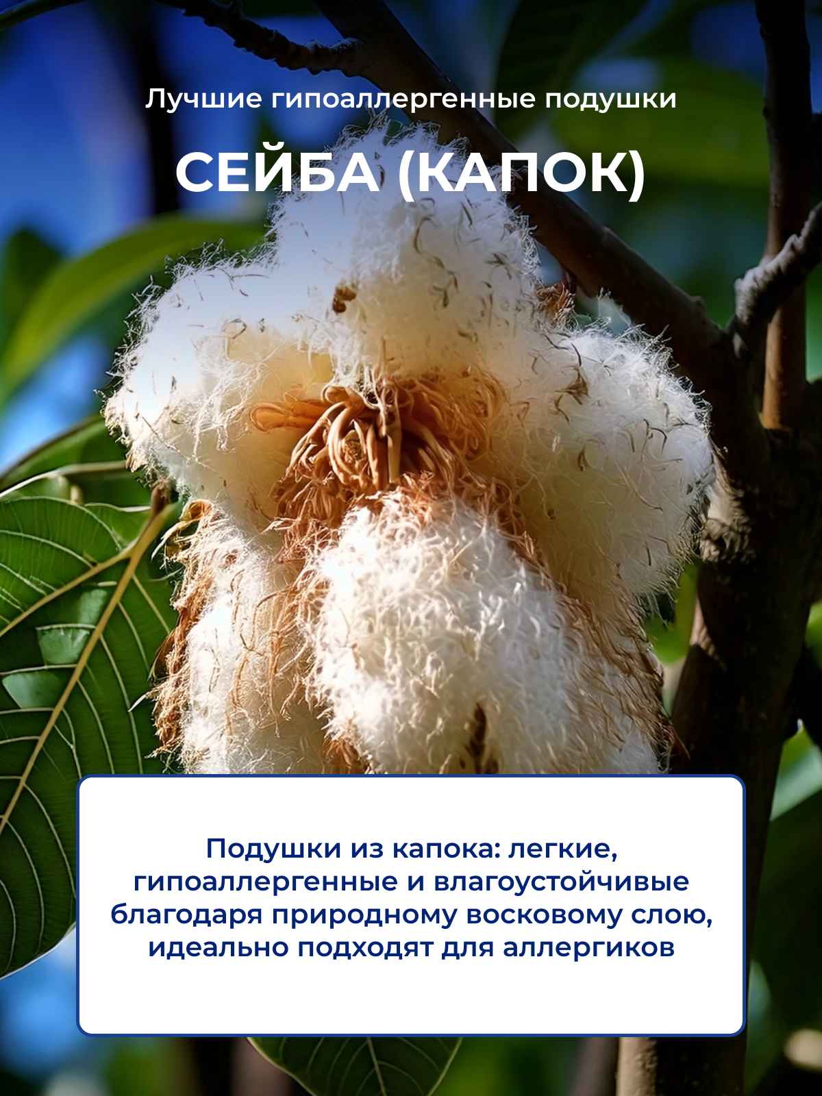 ������ ��������������� ������� � ����� (�����)