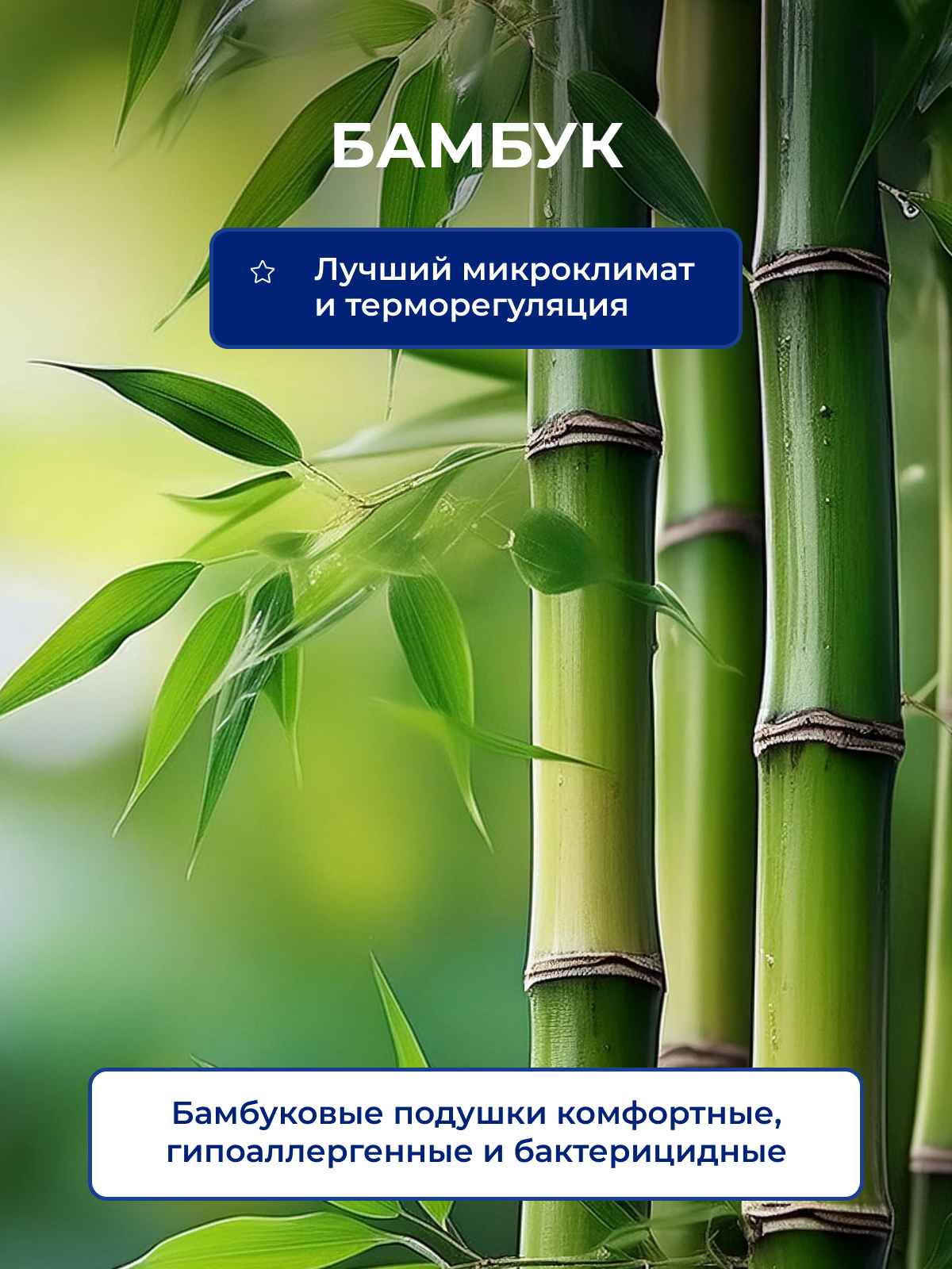 ������ ����������� ������� � ������