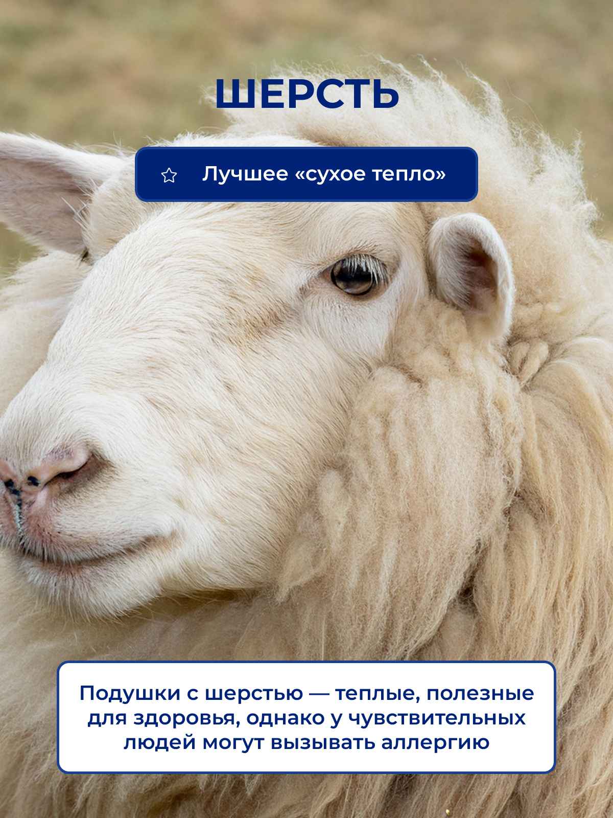 ������ ����������� ������� � ������